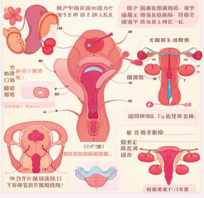 妇科病是怎么引起的？男人可以做些什么？